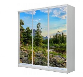 Шкаф-купе ХИТ 23-4-20-777 (420) в Режи - rezh.mebel24.online | фото