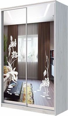 Шкаф-купе ХИТ 24-14-66 ЦАПЛИ в Режи - rezh.mebel24.online | фото