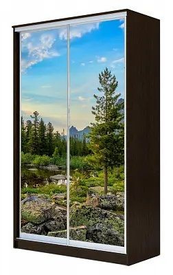 Шкаф-купе ХИТ 24-15-77 ПРИРОДА в Режи - rezh.mebel24.online | фото