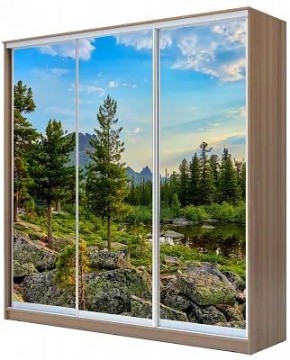Шкаф-купе ХИТ 24-20/2-777 ПРИРОДА в Режи - rezh.mebel24.online | фото
