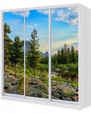 Шкаф-купе ХИТ 24-4-18/2-777 ПРИРОДА в Режи - rezh.mebel24.online | фото