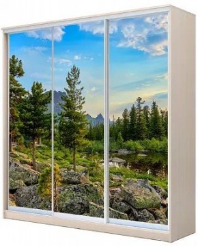 Шкаф-купе ХИТ 24-4-20-777 ПРИРОДА в Режи - rezh.mebel24.online | фото