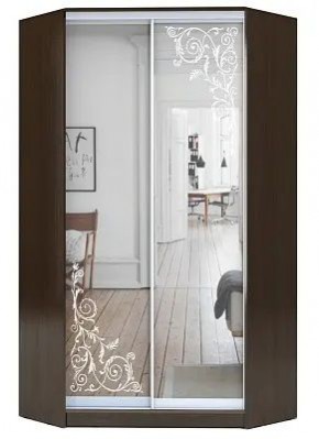 Шкаф-купе ХИТ-У-R-23-64-66 ОРНАМЕНТ в Режи - rezh.mebel24.online | фото