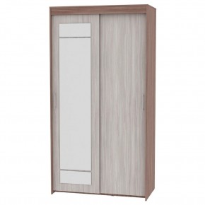 Шкаф-купе с зеркалом T-1-230х120х45-M (1-1) в Режи - rezh.mebel24.online | фото