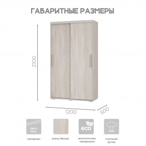 Шкаф-купе ШКК-11 (ясень белый) в Режи - rezh.mebel24.online | фото 7