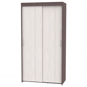 Шкаф-купе T-1-230х120х60 "ТОП" в Режи - rezh.mebel24.online | фото 13