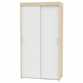 Шкаф-купе T-1-230х120х60 "ТОП" в Режи - rezh.mebel24.online | фото 5