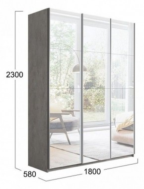 Шкаф-купе Траст СШК 2.180.60-13.13.13 в Режи - rezh.mebel24.online | фото 3