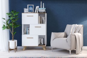 Шкаф низкий с нишами Вега Скандинавия в Режи - rezh.mebel24.online | фото 4