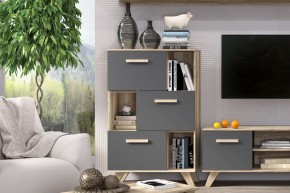 Шкаф низкий с нишами Вега Скандинавия в Режи - rezh.mebel24.online | фото 6