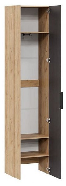 Шкаф платяной Асти в Режи - rezh.mebel24.online | фото 2