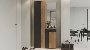 Шкаф платяной Асти в Режи - rezh.mebel24.online | фото 5