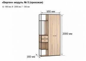 Шкаф платяной Берген-5 в Режи - rezh.mebel24.online | фото 7