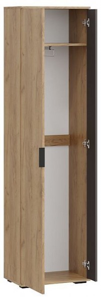 Шкаф платяной Эвита в Режи - rezh.mebel24.online | фото 2