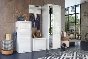 Шкаф платяной Норден СТЛ.413.01 в Режи - rezh.mebel24.online | фото 4