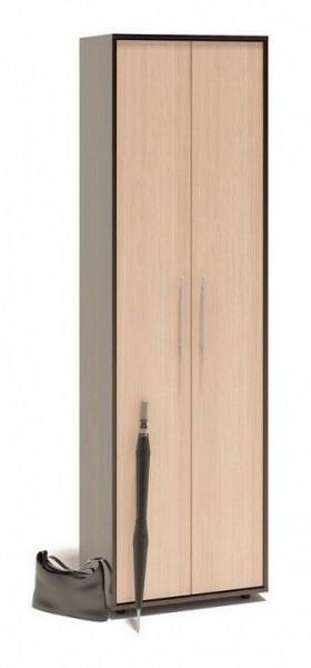 Шкаф платяной ШО-1 в Режи - rezh.mebel24.online | фото