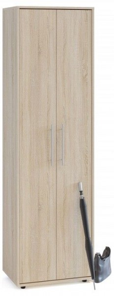 Шкаф платяной ШО-1 в Режи - rezh.mebel24.online | фото