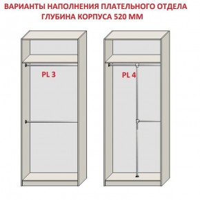 Шкаф распашной серия «ЗЕВС» (PL3/С1/PL2) в Режи - rezh.mebel24.online | фото 10