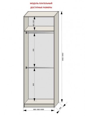 Шкаф распашной серия «ЗЕВС» (PL3/С1/PL2) в Режи - rezh.mebel24.online | фото 12