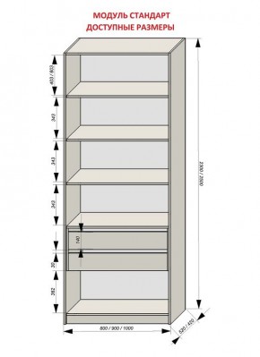 Шкаф распашной серия «ЗЕВС» (PL3/С1/PL2) в Режи - rezh.mebel24.online | фото 13