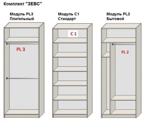 Шкаф распашной серия «ЗЕВС» (PL3/С1/PL2) в Режи - rezh.mebel24.online | фото 2