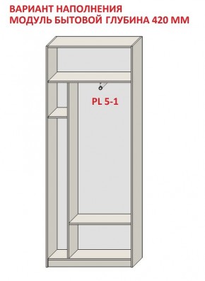 Шкаф распашной серия «ЗЕВС» (PL3/С1/PL2) в Режи - rezh.mebel24.online | фото 4