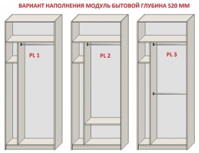 Шкаф распашной серия «ЗЕВС» (PL3/С1/PL2) в Режи - rezh.mebel24.online | фото 5