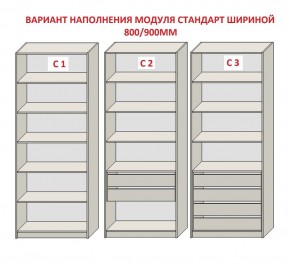 Шкаф распашной серия «ЗЕВС» (PL3/С1/PL2) в Режи - rezh.mebel24.online | фото 6