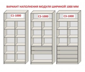 Шкаф распашной серия «ЗЕВС» (PL3/С1/PL2) в Режи - rezh.mebel24.online | фото 7