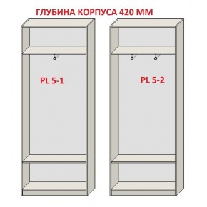 Шкаф распашной серия «ЗЕВС» (PL3/С1/PL2) в Режи - rezh.mebel24.online | фото 8