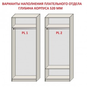 Шкаф распашной серия «ЗЕВС» (PL3/С1/PL2) в Режи - rezh.mebel24.online | фото 9