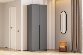 Шкаф ШК-5 + 2 полки (800) Графит серый в Режи - rezh.mebel24.online | фото 2
