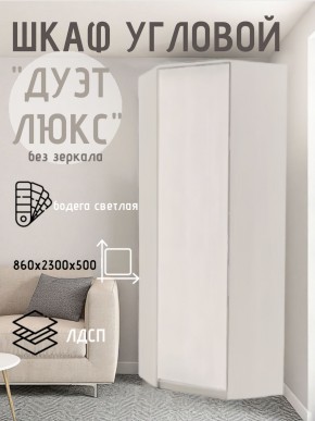 Шкаф угловой Дуэт Люкс без зеркала в Режи - rezh.mebel24.online | фото