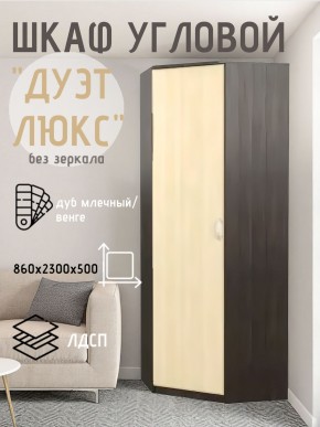 Шкаф угловой Дуэт Люкс без зеркала в Режи - rezh.mebel24.online | фото 3