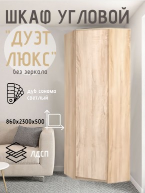 Шкаф угловой Дуэт Люкс без зеркала в Режи - rezh.mebel24.online | фото 5