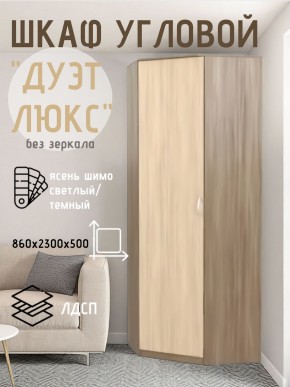 Шкаф угловой Дуэт Люкс без зеркала в Режи - rezh.mebel24.online | фото 7