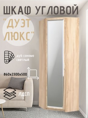 Шкаф угловой Дуэт Люкс с зеркалом в Режи - rezh.mebel24.online | фото