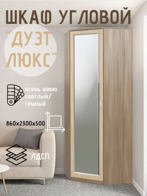 Шкаф угловой Дуэт Люкс с зеркалом в Режи - rezh.mebel24.online | фото 3