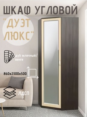 Шкаф угловой Дуэт Люкс с зеркалом в Режи - rezh.mebel24.online | фото 5