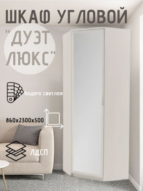 Шкаф угловой Дуэт Люкс с зеркалом в Режи - rezh.mebel24.online | фото 6