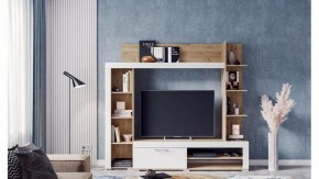 Стенка для гостиной Касэль в Режи - rezh.mebel24.online | фото 3