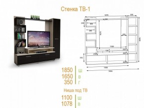 Стенка для гостиной ТВ-1 в Режи - rezh.mebel24.online | фото 2