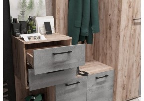 Стенка для прихожей Бостон в Режи - rezh.mebel24.online | фото 4