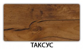 Стол-бабочка Бриз пластик Кастилло темный в Режи - rezh.mebel24.online | фото 20