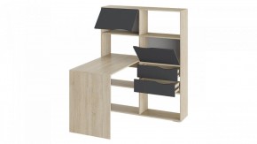 Стол компьютерный Тип 7 в Режи - rezh.mebel24.online | фото 2