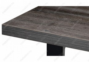 Стол обеденный Эльпатия в Режи - rezh.mebel24.online | фото 6