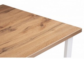 Стол обеденный Лота Лофт 120 в Режи - rezh.mebel24.online | фото 4