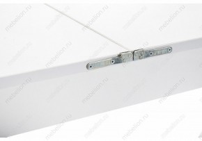 Стол обеденный Маера в Режи - rezh.mebel24.online | фото 8