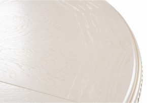 Стол обеденный Нозеан в Режи - rezh.mebel24.online | фото 9