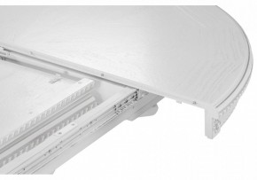 Стол обеденный Нозеан в Режи - rezh.mebel24.online | фото 6